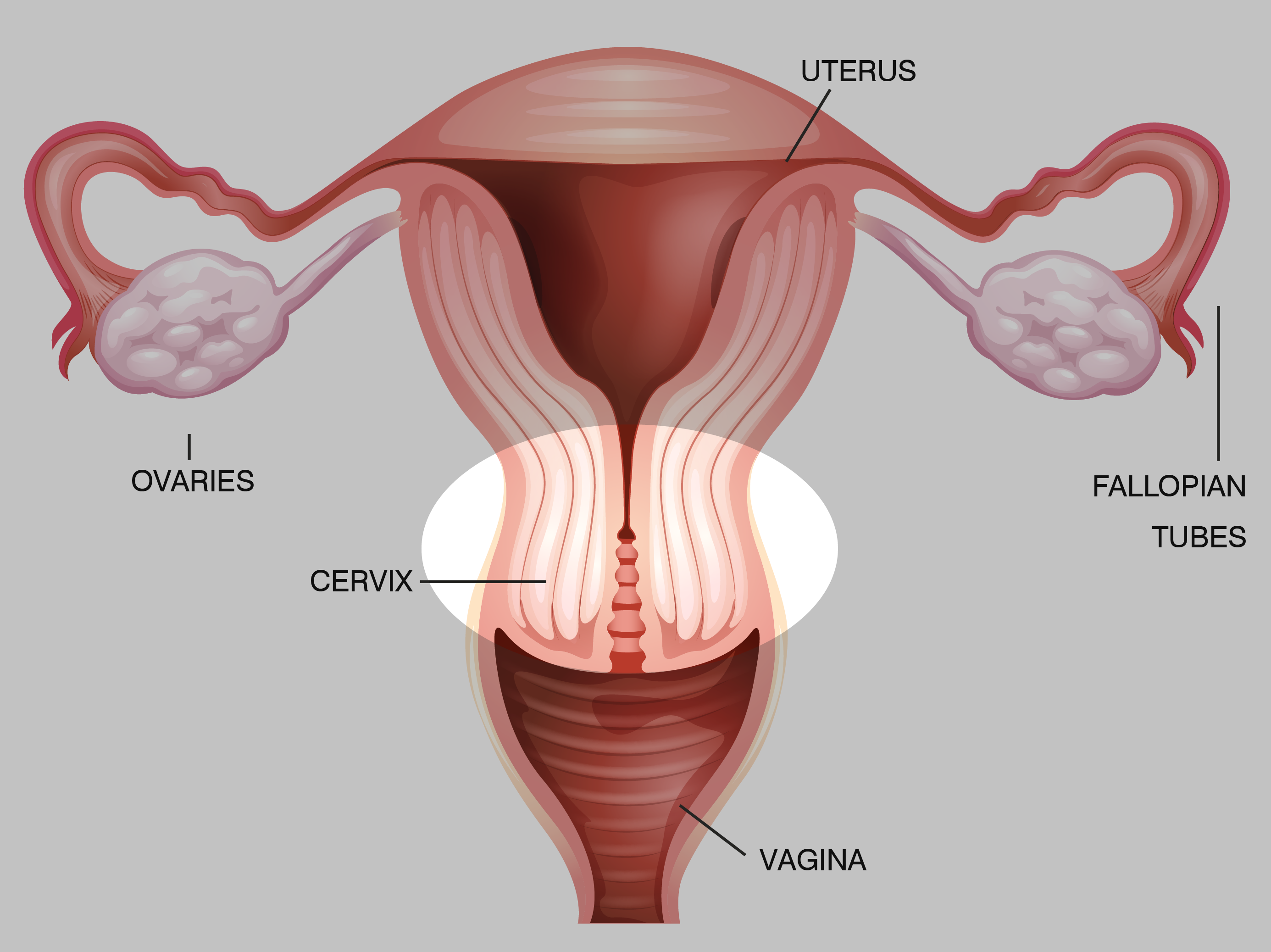 Hysterectomy Decide On These Surgery Options