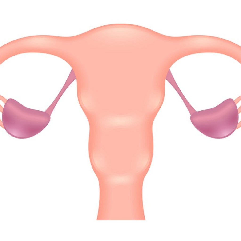 Medical Term For Surgical Removal Of Both Fallopian Tubes And Ovaries