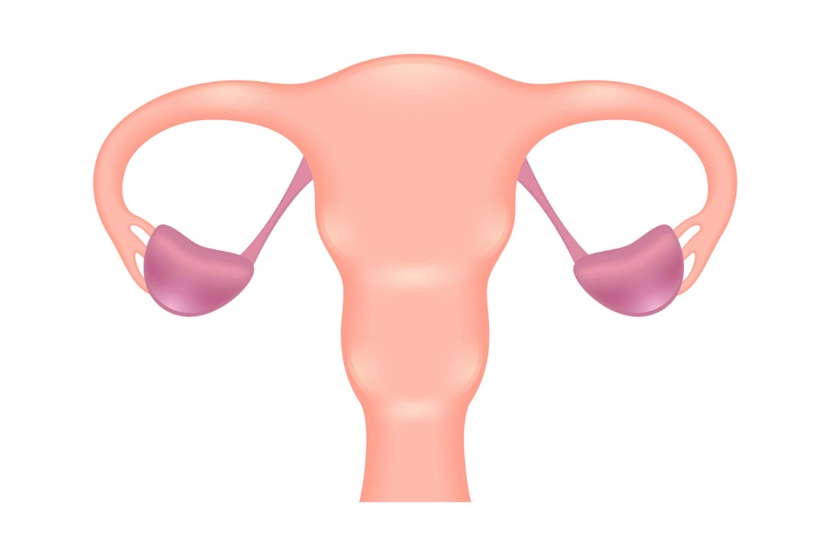 Salpingectomy Removal Of The Fallopian Tubes 101 Hysterectomy